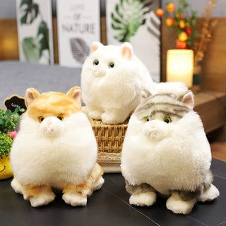 创意网红跨境新款玉皇龙猫仿真猫咪公仔毛绒动物猫猫玩偶礼物代发
