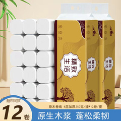 12ロール芯なしロール紙、天然木材パルプ固形トイレットペーパー、家庭用手頃な価格の寮トイレットペーパー