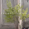 South Sky Bamboo Green