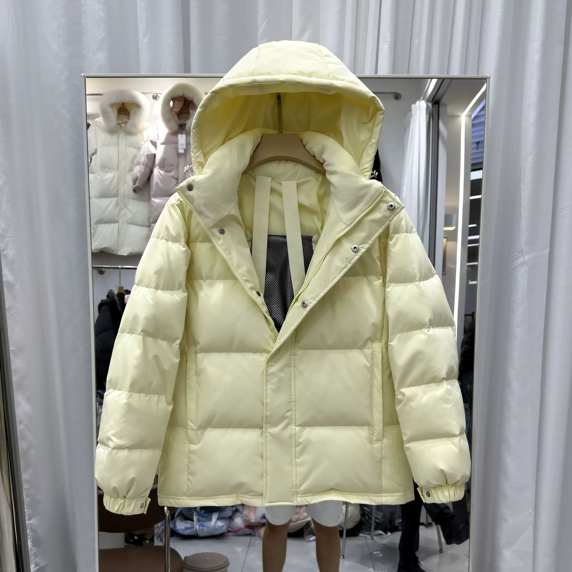 밝은 거위 색상