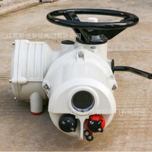 IQ20Ӣ���_�п�ROTORK��ˮ�ȼ�IP68���y������D941X-IQC20-IQT20