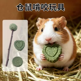 猫猫玩具;宠物帽子;其他小宠用品