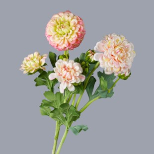���滨 �f�۾� �ָ�5�^�Ҿ��b���ș��������c�Ƶ겼���[���ٻ�