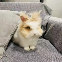 �����þW�t�wĘ�����ÿɻ��w؈؈�����������û��w������؈؈