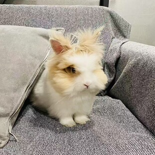 �����þW�t�wĘ�����ÿɻ��w؈؈�����������û��w������؈؈