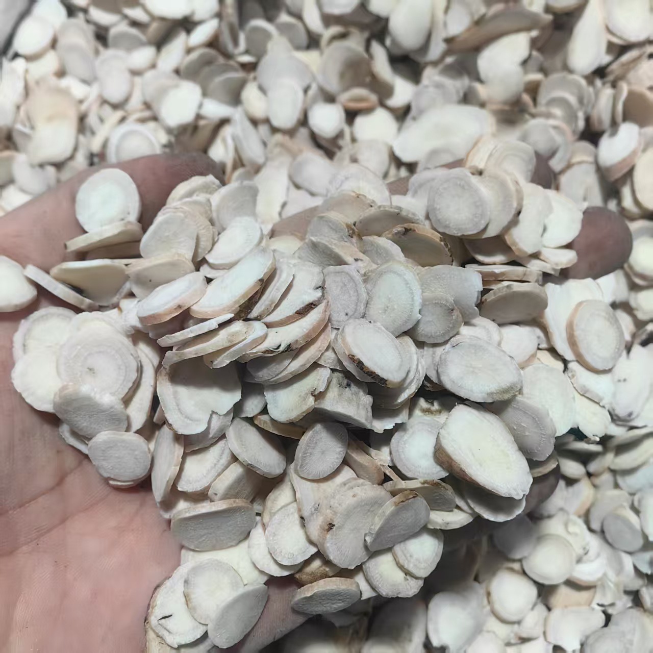 White Peony Root Slices Bai Shao 白芍 Sulfur-Free Dried Herb for Decoction and Powder specifications
