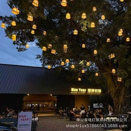 景观灯;LED装饰灯;LED灯带