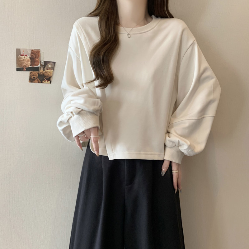 小个子短款无帽卫衣女2025秋季新款薄款宽松小众设计感长袖上衣服|undefined