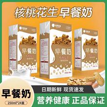 年货礼盒忠厚核桃花生早餐奶250ml*24盒学生老人牛奶饮品整箱其他