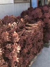 �߲��Bֳ���Ҵ���������^������ؘ���Ĥ�����L�Ӵֵ��h���