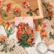 ������Ӱ�N���� ����ʰɫϵ�� ͸���������~�ز�DIY�b�6��