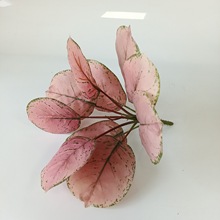 ����ֲ���~�O�����~10�^�O���������辰�����쾰���P�[������Gֲ