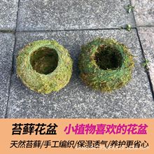 ̦����̦�\������̦������m������ℓ����ˮ�@ˇ�辰�Gֲ����