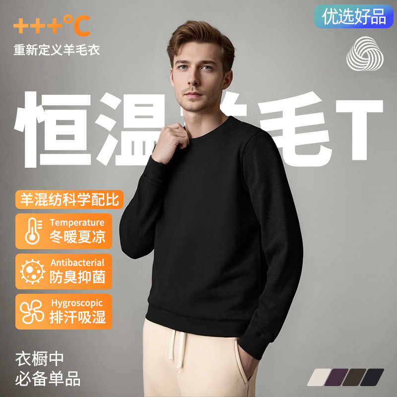 【Carefully Selected Goods】Merino Wool Solid Color Old Money Style Crew Neck Sweatshirt Antibacterial Knitted Wool Men's Top