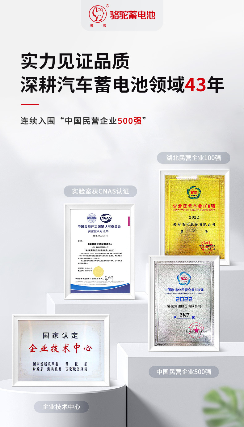 Camel Brand Electric Forklift Battery, Maintenance-Free 80Ah 120Ah Battery for Passenger Vehicles, Trucks, Excavators, and Generators