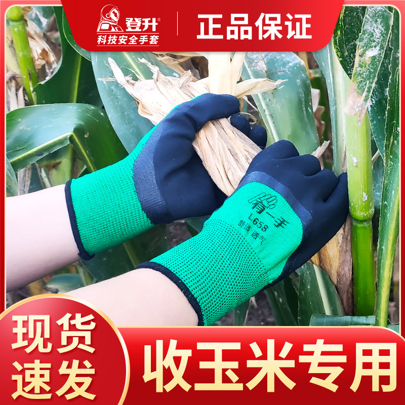 Escalada de maíz guantes de colección antideslizante transpirable maíz tirando jardín maíz seco granja guantes