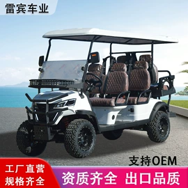 电动观光车;其他电动车;高尔夫球车