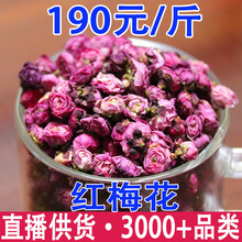 红梅花 红梅批发代发