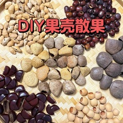 印尼果壳散壳批发果壳摇铃挂件果壳包挂挂件果壳摇铃diy满愿种子