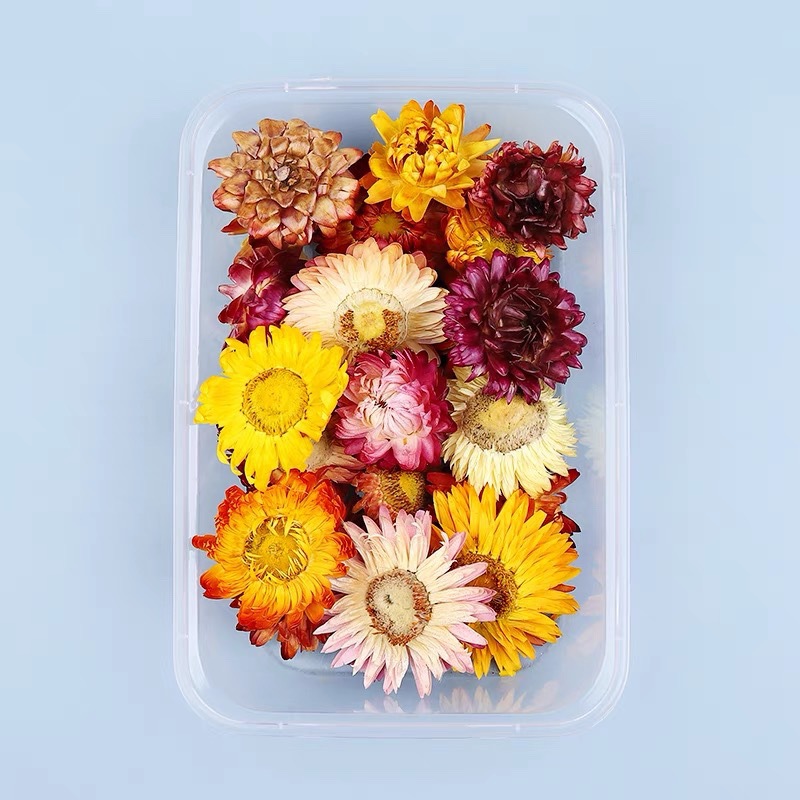 教師節DIY混裝乾花盒混合手工花材包幹花材料包真花天然風乾ins裝