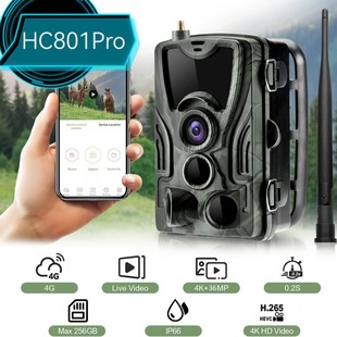 Outdoor Hd Infrared Hunting Camera 36Mp True 4K 4g Hc-801Pro Mobile App Real-Time Video
