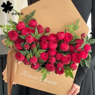���˹��¿�PLUS�Ӵ���ŷ⻨��õ�廨�廨diy�Y�л������b�пպ�