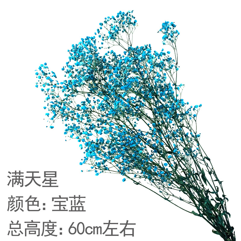 감청색 안개꽃 꽃다발