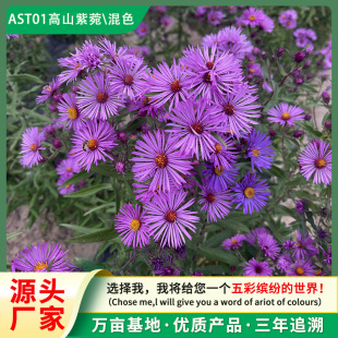 ���ҷN�Ӻ��m���ļ��׷N����ͥԺ�̨���^�����������ͺ�������