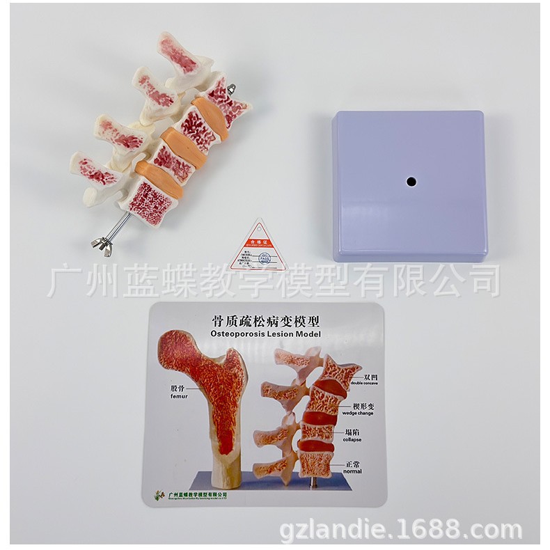 ��������ģ�� ��׵���Ͳ���ģ�� ���弹׵ģ�� ��������ģ��