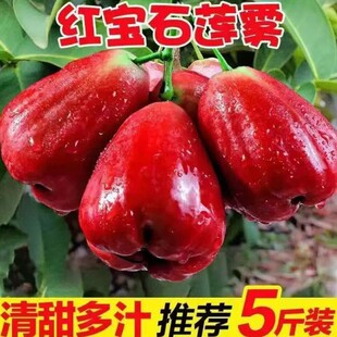 �t��ʯɏ�F���Fժ���r�����鑪���Ꭷˮ��ɏ�F�����خa������]