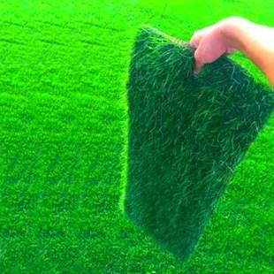 Four Seasons Green Lawn Seeds Courtyard Landscaping Manila Drought-Tolerant Grass Seeds Greening Turf Slope Protection