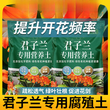 �����m���I�B���m������ֳ���~�����ԷNֲ��������������͸��