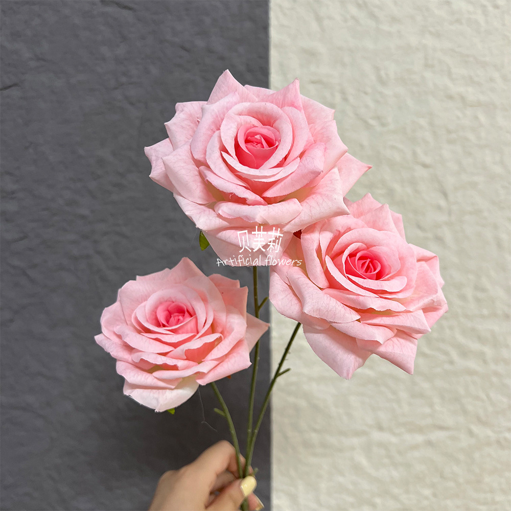 실크스크린 로즈라이트 핑크