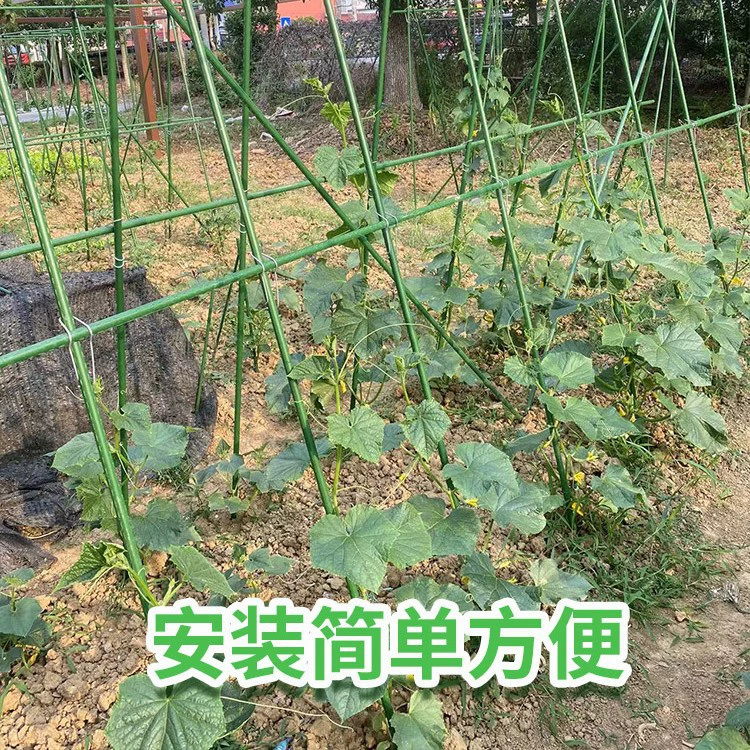 Подставка для восхождения на лозу подставка для семян цветов на открытом воздухе подставка для винограда подставка для выращивания овощей фасоль огурец для скалолазания столб для сада розы