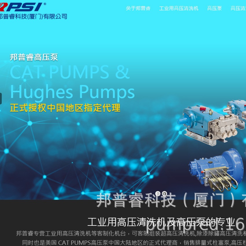 正规代理CAT PUMPS泵美国猫牌泵高压排污泵6767