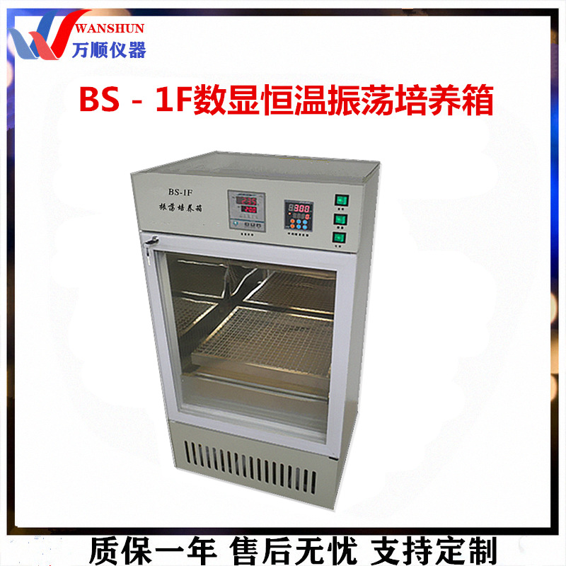 恒温培养箱BS－1F型数显恒温振荡培养箱恒温振荡培养箱振荡培养箱