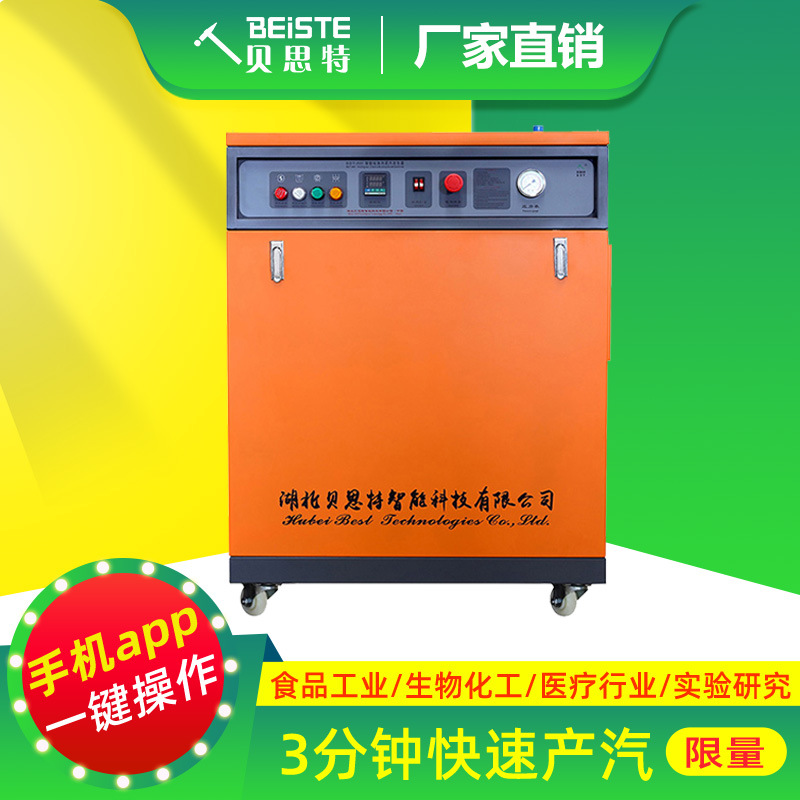 蒸汽发生器贝思特厂家免报检实验研究食品加工洗涤整烫商用工业用