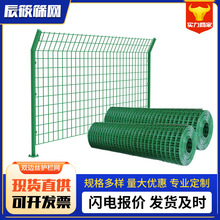 ���ƿ���o�ھW�BֳȦ�ؾGɫ�F�z�W������\�����W���ٹ�·����