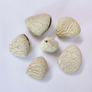 ӡ��ڹ������L����ƹ�����diy���ϰ��ֹ������֓u�pangjii����