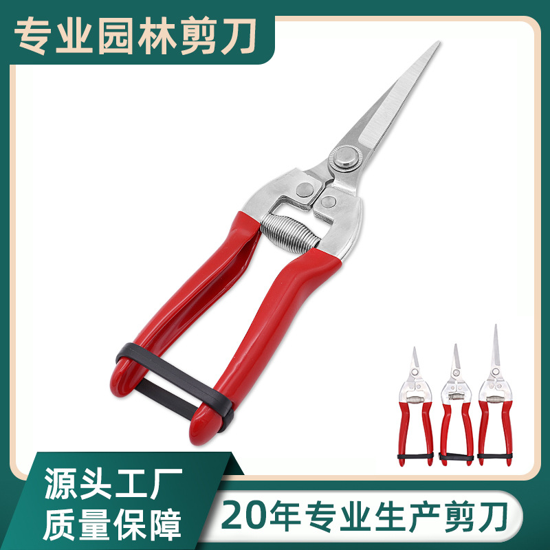 不锈钢园林修枝剪刀果树树枝剪园艺树枝高枝剪盆栽花艺园林工具剪