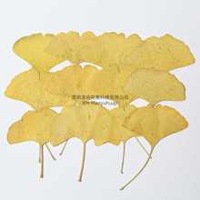 �y���~�滨Ѻ�������׃��̌Wֲ��˱��زĲ��ϵ��z�ɻ��֙C��diy