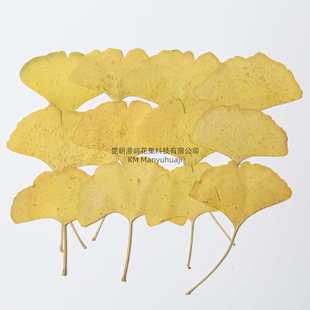 �y���~�滨Ѻ�������׃��̌Wֲ��˱��زĲ��ϵ��z�ɻ��֙C��diy