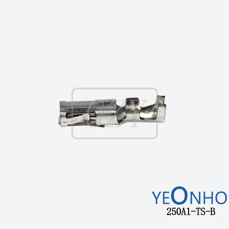 Ӧ250A1-TS-B ѹŶ YEONHO/Ȼ ɶ