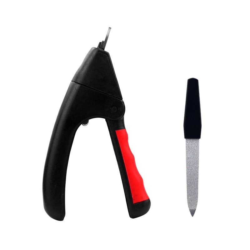 램프가없는 M189 종이 카드