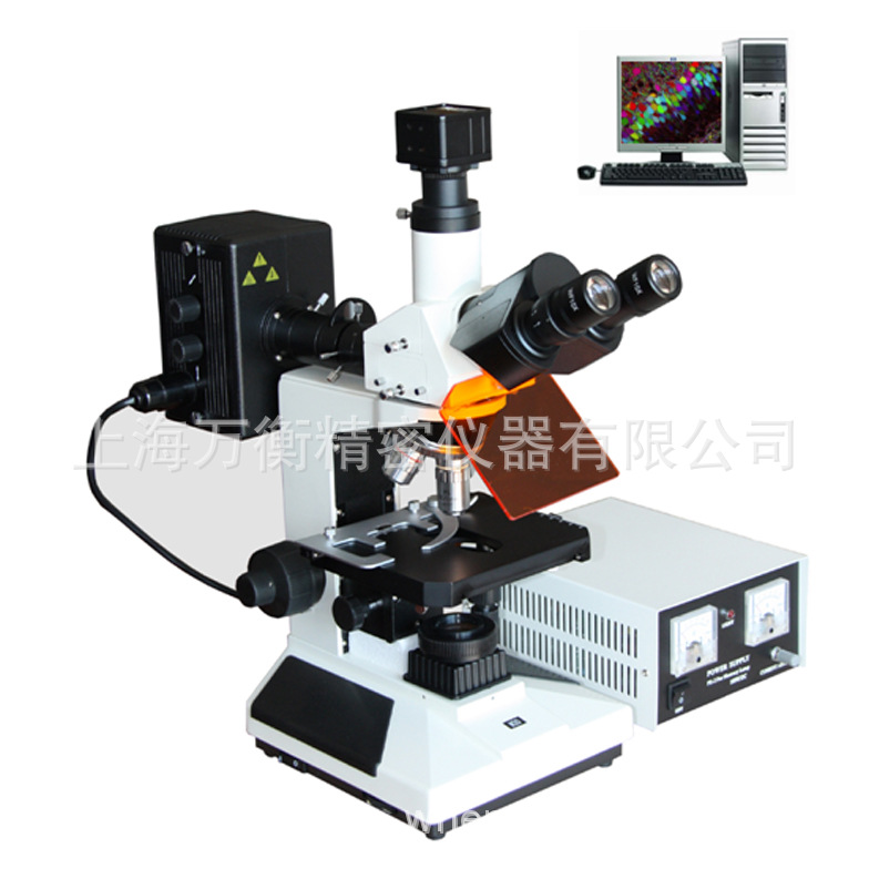 M30C　电脑型落射荧光显微镜 数码荧光显微镜 电脑荧光显微镜正置