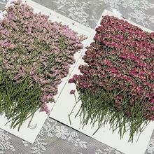 ˮ���ݸɻ��滨Ѻ������ֲ��˱��b��ϵ��z�ɻ��֙C���ֹ�diy