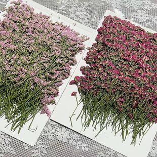 Crystal dried grass flower real flower flower embossed plant specimen decoration material drop glue dried flower mobile phone shell handmade diy
