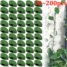 2024����Ҷ������ֲ��̶�����֧�̶ܹ���Ҷ��ǣ���ܻ�԰ֲ��֧��