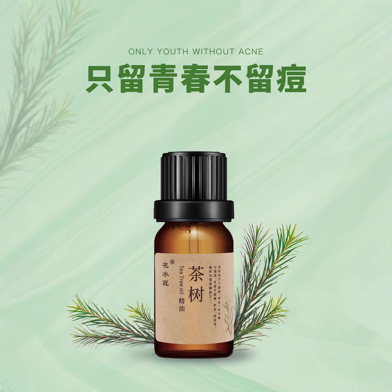 Tea tree essential oil factory wholesale 15ml tea tree essential oil