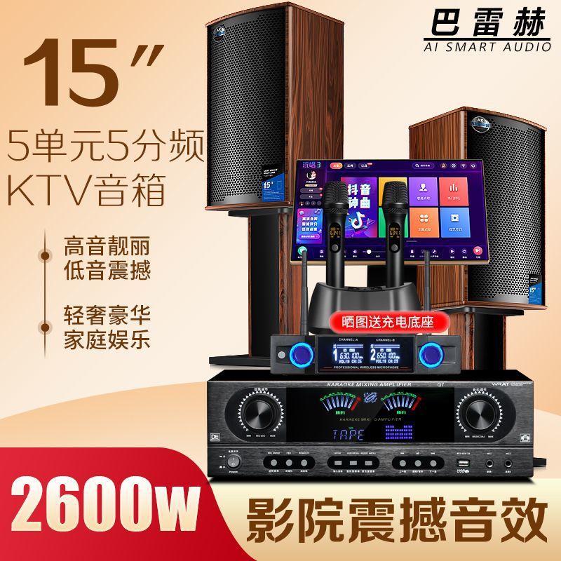 Barreh Home Ktv Audio Set Karaoke Living Room Bar Full Set of Karaoke Machine Combination High Power